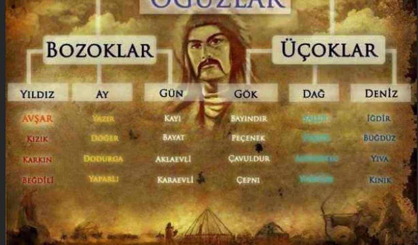 Türklerin soyağacı! Hangi il bakın hangi boydan geliyor